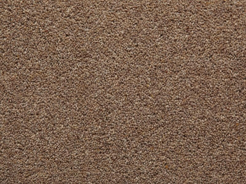 Manx Tomkinson Twist Carpet in Chestnut