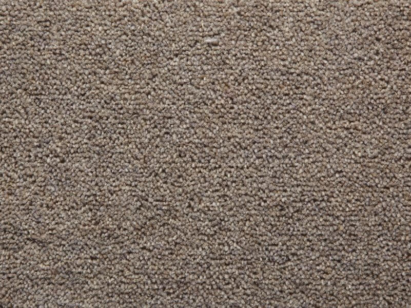 Manx Tomkinson Twist Carpet in Moleskin
