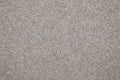 Manx Tomkinson Twist Carpet in Tungsten