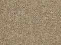 Manx Tomkinson Twist Carpet in Flax