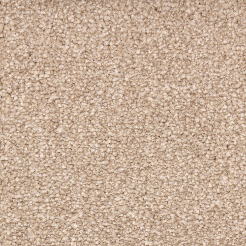 Every Room Seaton Valley - Fawn