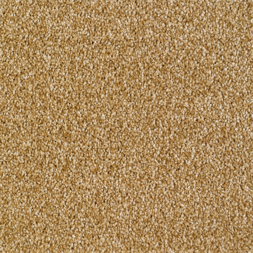 Every Room Sennen Twist - Gold